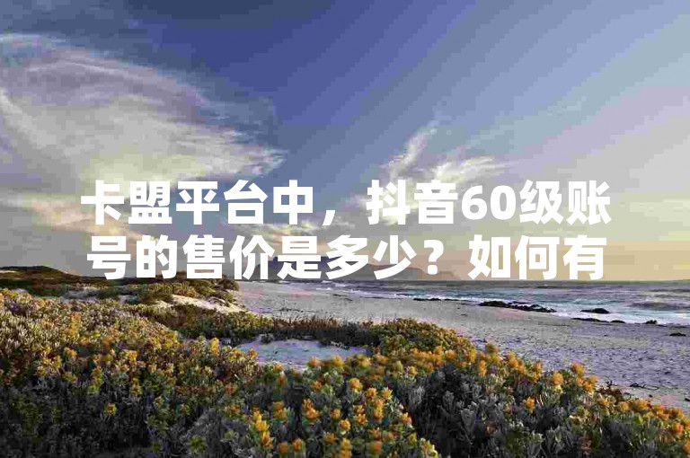 卡盟平台中，抖音60级账号的售价是多少？如何有效运营和推广抖音账户，以及怎样为作品充值抖币？