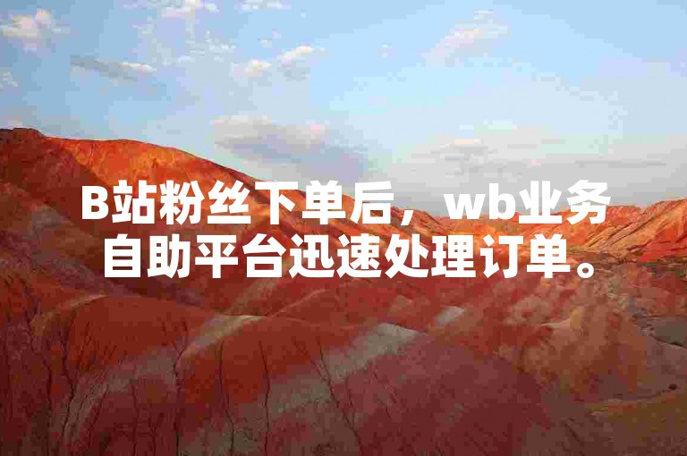 B站粉丝下单后，wb业务自助平台迅速处理订单。