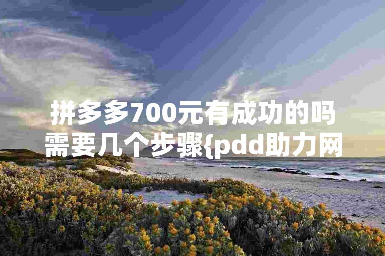 拼多多700元有成功的吗需要几个步骤{pdd助力网站}