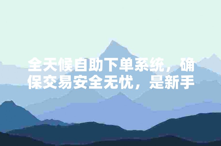 全天候自助下单系统，确保交易安全无忧，是新手入门的不二之选！