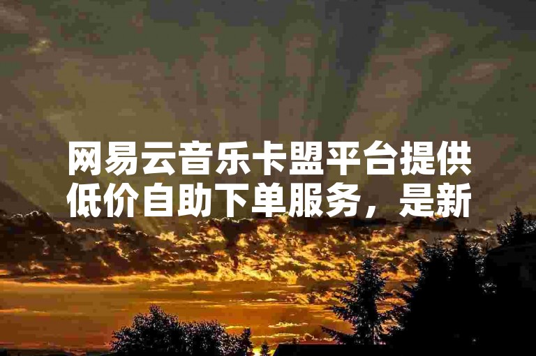 网易云音乐卡盟平台提供低价自助下单服务，是新人的必备之选！