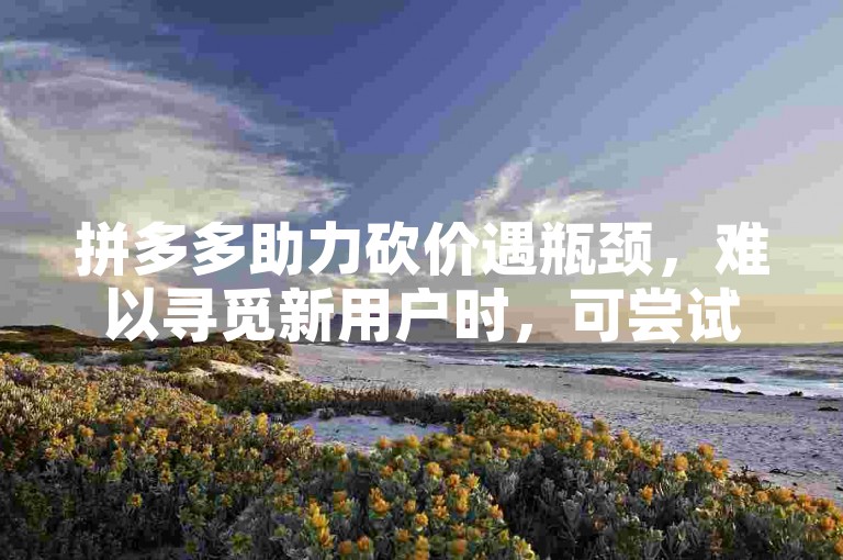 拼多多助力砍价遇瓶颈，难以寻觅新用户时，可尝试在社交媒体、论坛等平台发布求助信息，吸引热心网友助力。