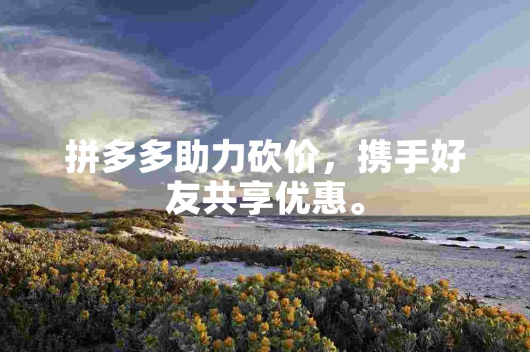拼多多助力砍价，携手好友共享优惠。