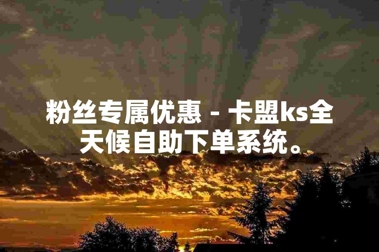 粉丝专属优惠 - 卡盟ks全天候自助下单系统。