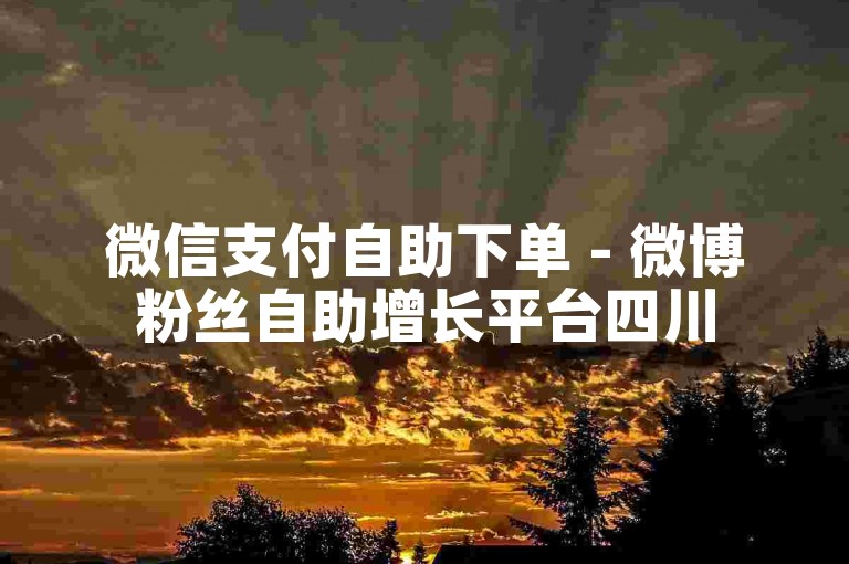 微信支付自助下单 - 微博粉丝自助增长平台四川