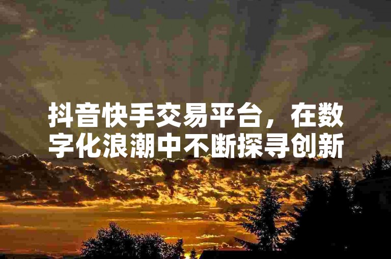 抖音快手交易平台，在数字化浪潮中不断探寻创新路径，其发展前景备受瞩目。