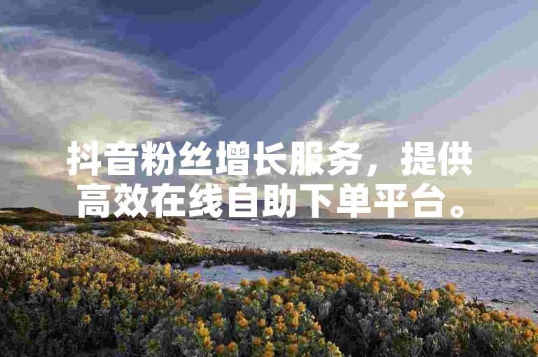 抖音粉丝增长服务，提供高效在线自助下单平台。