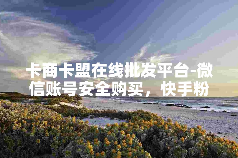卡商卡盟在线批发平台-微信账号安全购买，快手粉丝稳定增长即时服务。