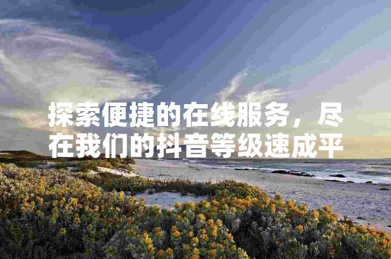探索便捷的在线服务，尽在我们的抖音等级速成平台，提供全天候自助下单支持。