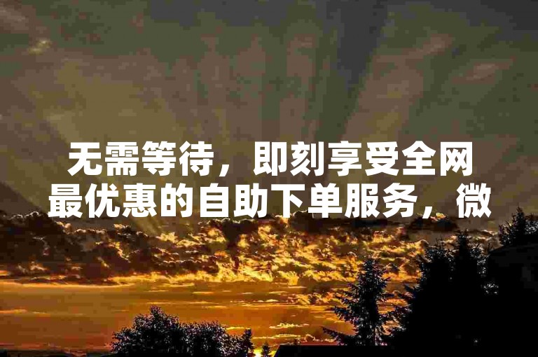 无需等待，即刻享受全网最优惠的自助下单服务，微信秒赞助手助您快速完成交易。