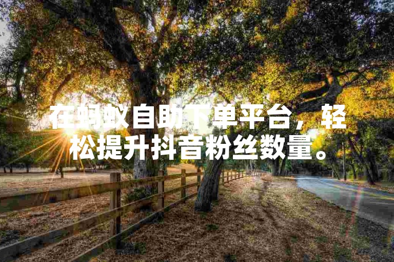 在蚂蚁自助下单平台，轻松提升抖音粉丝数量。