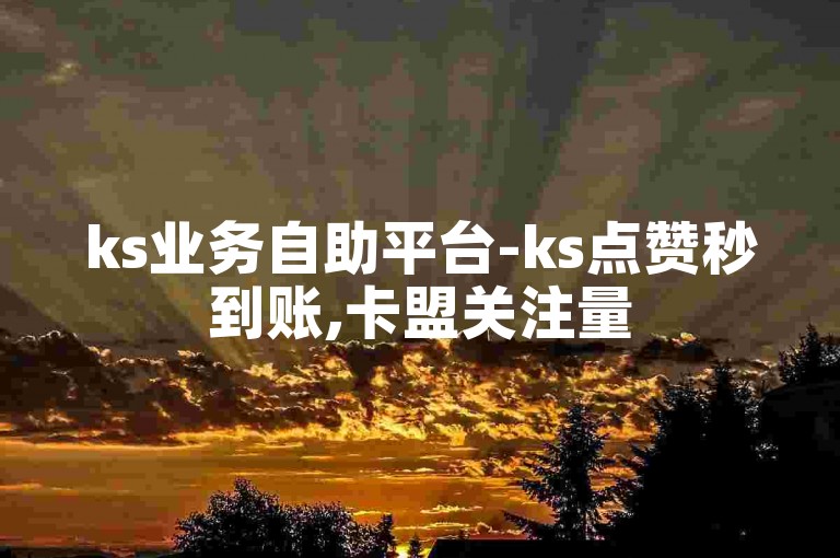 ks业务自助平台-ks点赞秒到账,卡盟关注量