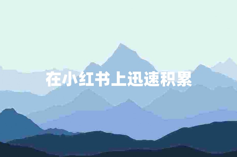 在小红书上迅速积累500粉丝，探索拼多多高效引流技巧，同时利用dy秒刷工具和QQ空间访客软件提升社交影响力。