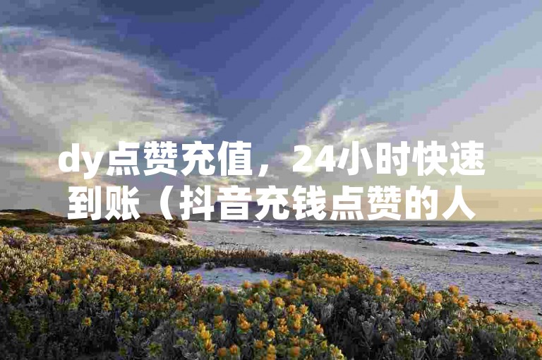 dy点赞充值，24小时快速到账（抖音充钱点赞的人）
