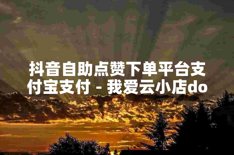 抖音自助点赞下单平台支付宝支付 - 我爱云小店dou+自助下单