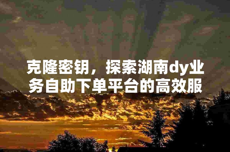 克隆密钥，探索湖南dy业务自助下单平台的高效服务。