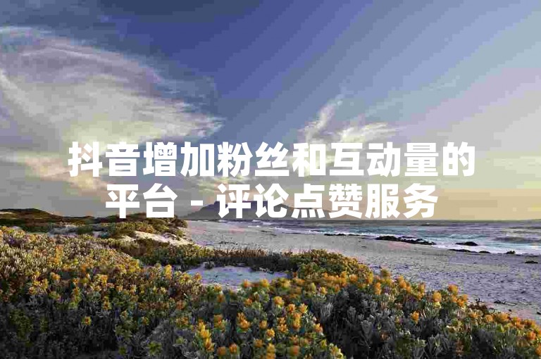抖音增加粉丝和互动量的平台 - 评论点赞服务
