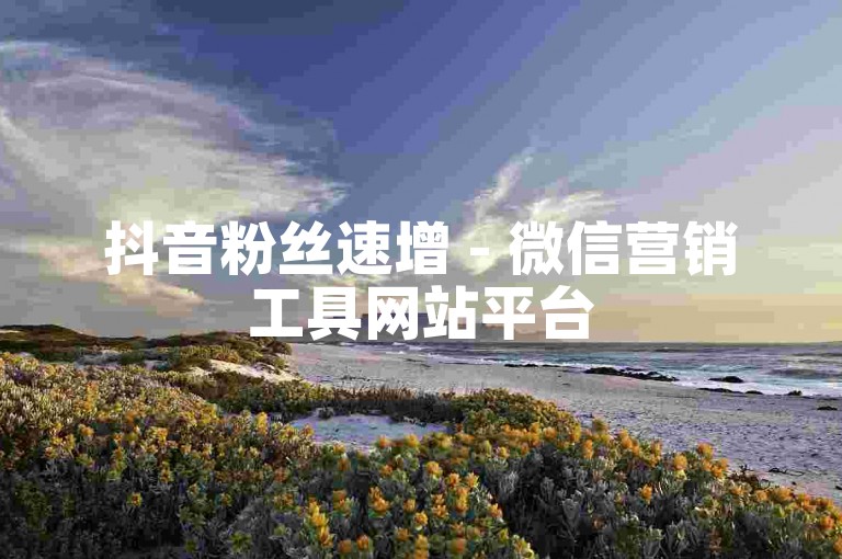 抖音粉丝速增 - 微信营销工具网站平台