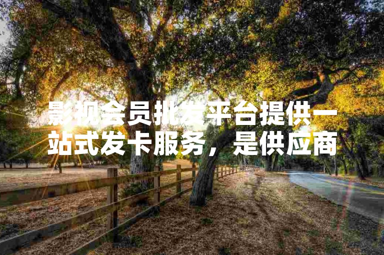 影视会员批发平台提供一站式发卡服务，是供应商和消费者的首选，确保最低价格。