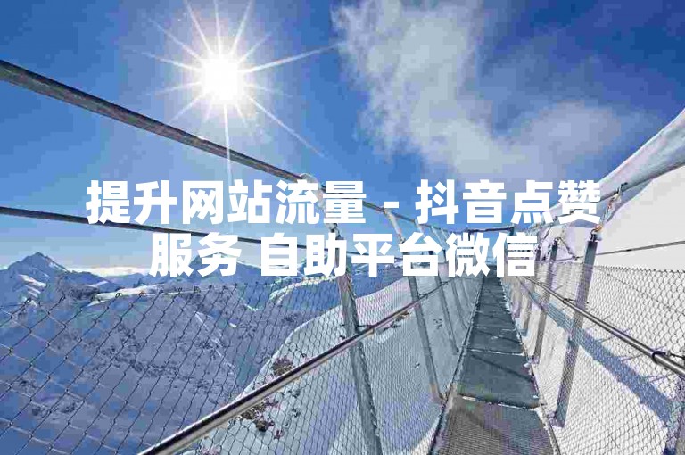 提升网站流量 - 抖音点赞服务 自助平台微信
