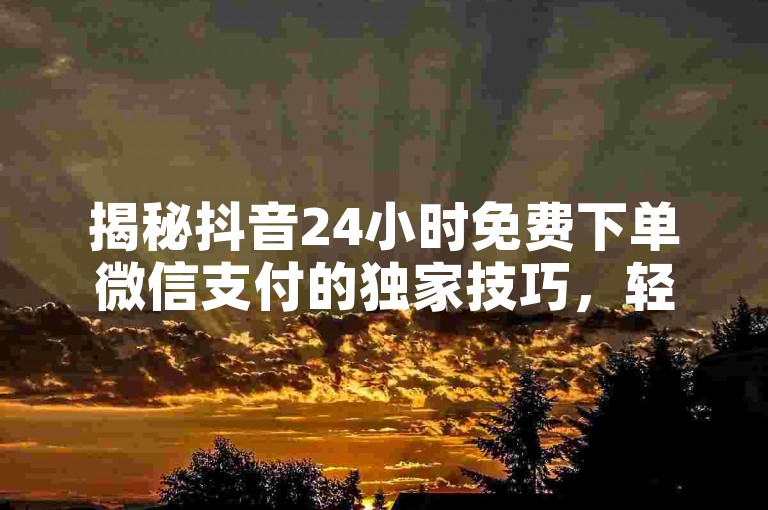 揭秘抖音24小时免费下单微信支付的独家技巧，轻松下单！通过微信支付在抖音尽享全天候优惠！！2024必备技能