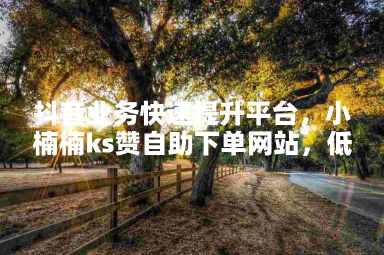 抖音业务快速提升平台，小楠楠ks赞自助下单网站，低价秒到账服务。