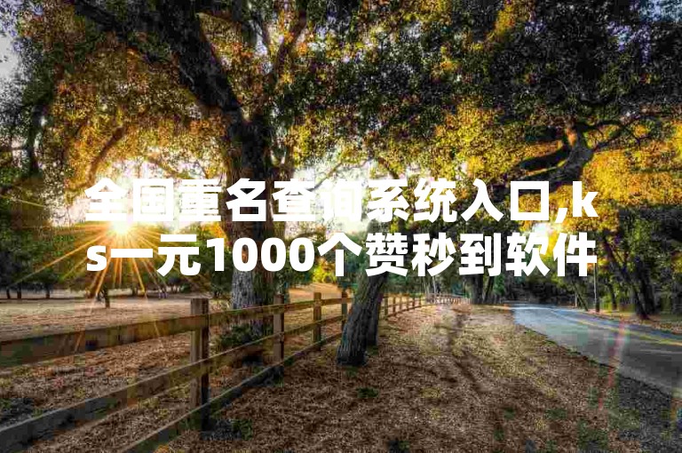 全国重名查询系统入口,ks一元1000个赞秒到软件，是一款便捷的在线工具。