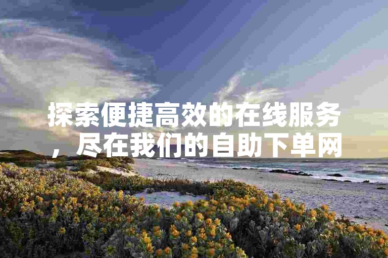 探索便捷高效的在线服务，尽在我们的自助下单网站，提供全网最经济的业务增长方案。