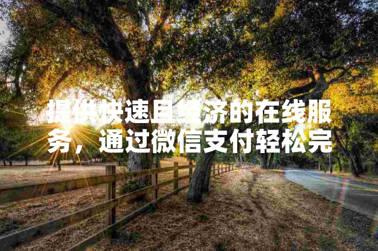 提供快速且经济的在线服务，通过微信支付轻松完成快手点赞的自助下单。