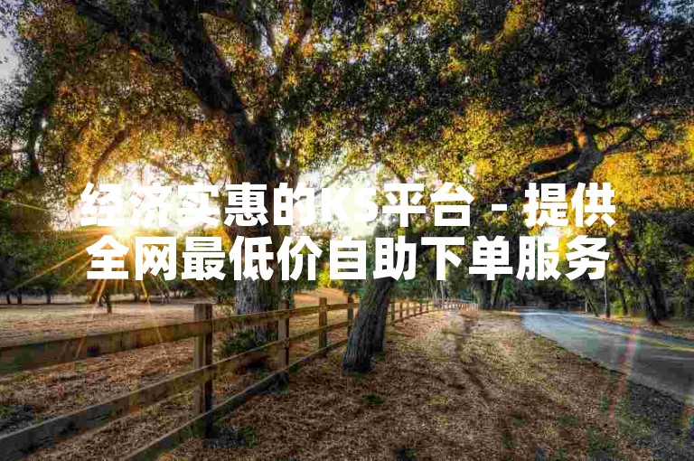 经济实惠的KS平台 - 提供全网最低价自助下单服务。