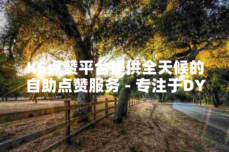 KS点赞平台提供全天候的自助点赞服务 - 专注于DY业务，支持快速下单秒刷双击。