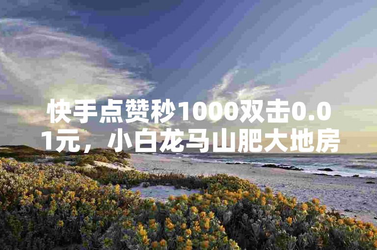 快手点赞秒1000双击0.01元，小白龙马山肥大地房产装修。