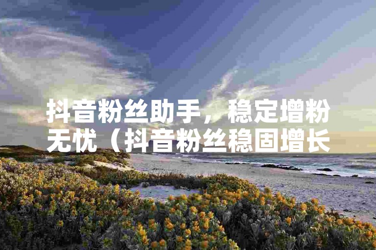 抖音粉丝助手，稳定增粉无忧（抖音粉丝稳固增长助手）