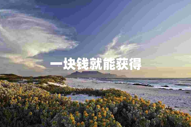 一块钱就能获得500赞，快手秒到账，让你的短视频瞬间火爆起来！
