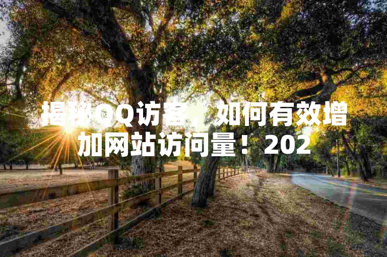 揭秘QQ访客，如何有效增加网站访问量！2025年必备技巧