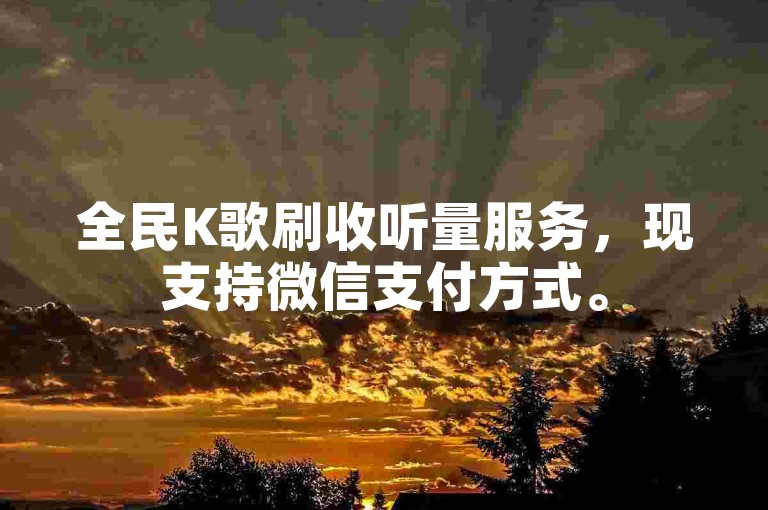 全民K歌刷收听量服务，现支持微信支付方式。