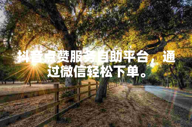 抖音点赞服务自助平台，通过微信轻松下单。