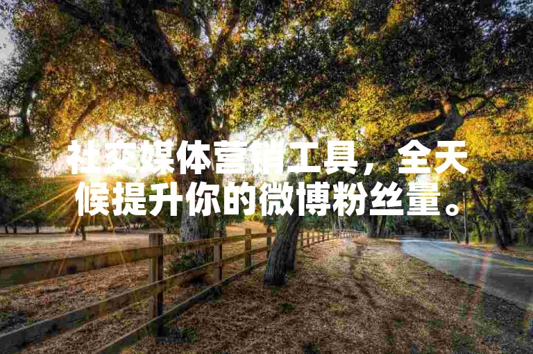 社交媒体营销工具，全天候提升你的微博粉丝量。