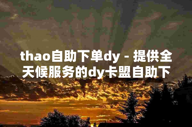 thao自助下单dy - 提供全天候服务的dy卡盟自助下单系统。