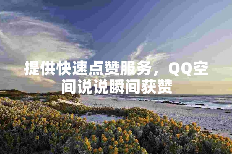 提供快速点赞服务，QQ空间说说瞬间获赞50+，高效便捷。