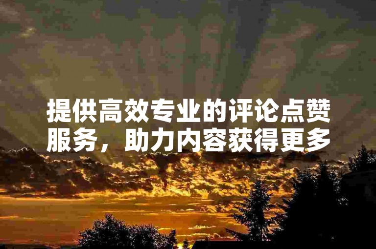 提供高效专业的评论点赞服务，助力内容获得更多曝光与认可。