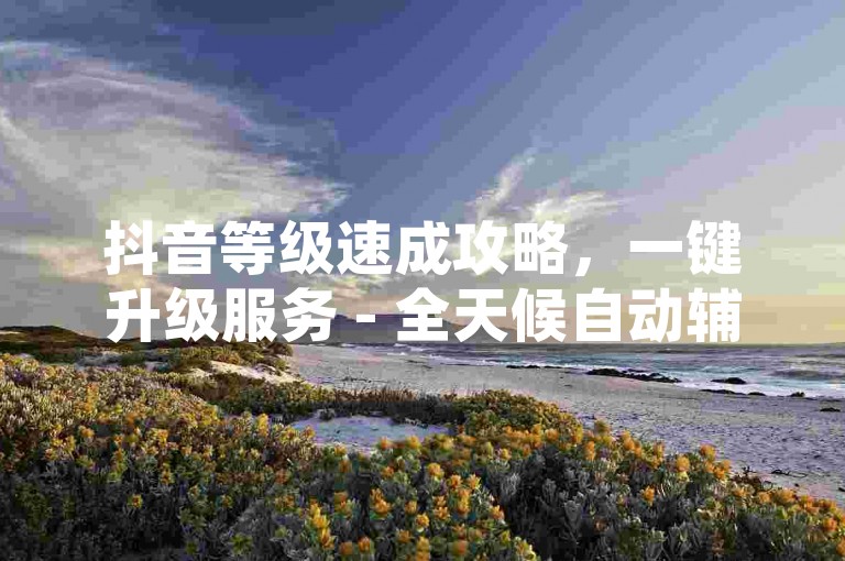 抖音等级速成攻略，一键升级服务 - 全天候自动辅助平台 - 高效获取虚拟货币工具