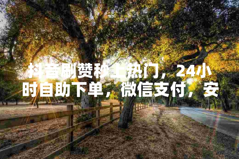 抖音刷赞秒上热门，24小时自助下单，微信支付，安全可靠。