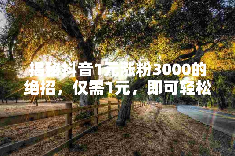 揭秘抖音1元涨粉3000的绝招，仅需1元，即可轻松获得3000粉丝，且粉丝稳定不流失！2025年必备技巧。