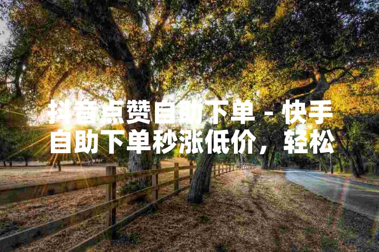 抖音点赞自助下单 - 快手自助下单秒涨低价，轻松提升视频热度！