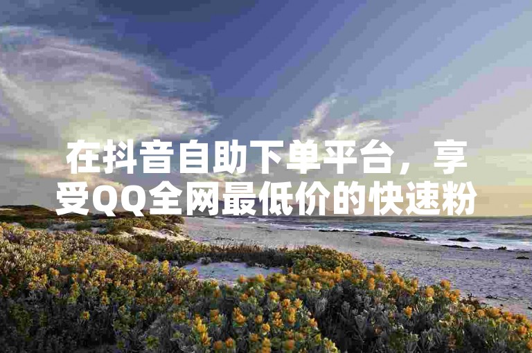 在抖音自助下单平台，享受QQ全网最低价的快速粉丝增长服务。