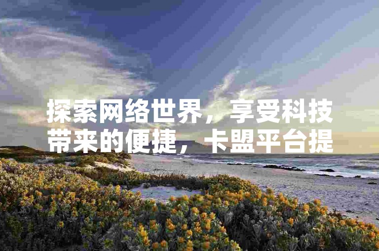 探索网络世界，享受科技带来的便捷，卡盟平台提供全天候服务，无论是抖音点赞还是QQ空间说说，都能轻松实现。