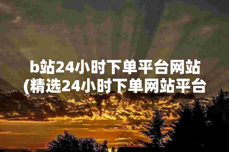 b站24小时下单平台网站(精选24小时下单网站平台推荐)