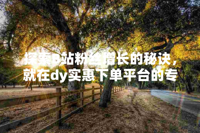 探索B站粉丝增长的秘诀，就在dy实惠下单平台的专属通道。