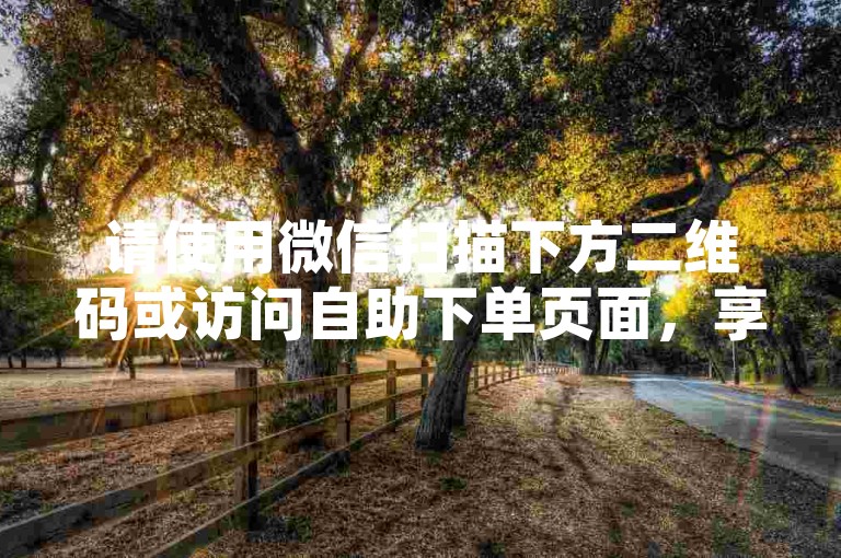 请使用微信扫描下方二维码或访问自助下单页面，享受全网最便捷的自助下单服务ks。